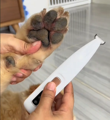 Briza™ LED Dog Paw Hair Trimmer